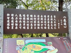 -子昂故里文化旅游区