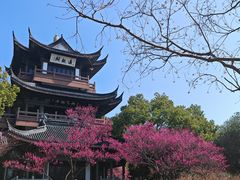 -范蠡湖公园