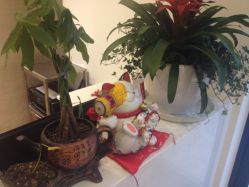 iphone_upload_pic-印·Style造型创始店