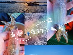 -鹿嘴山庄