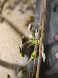 -酷嗒动物文化乐园(cutezoo西溪乐天城店)