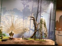 -陕西自然博物馆