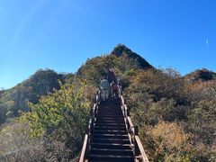 -大岭沟猕猴桃谷风景区