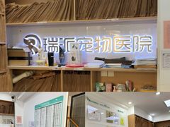 -瑞派天使宠物医院·神经外科·骨科·核磁CT(洛川中路店)