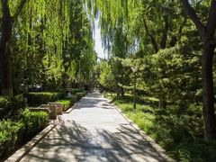 -顺城公园