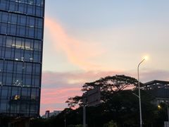 -达美乐比萨(大冲店)