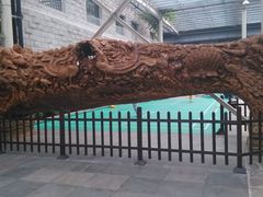 根雕-龙达温泉生态城