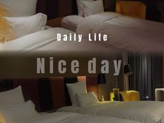 -南京禄口机场雅高铂尔曼大酒店