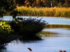 -大兴滨河森林公园