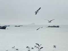 -银沙滩浴场