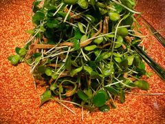 -海派悦庭·海胆烧麦·新融合菜(凯德广场店)