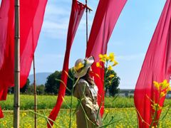 -光明小镇欢乐田园