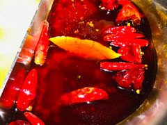 -湊湊火锅·茶憩(石家庄万象城店)