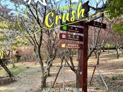 -大连植物园
