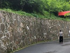 -杭州半山国家森林公园