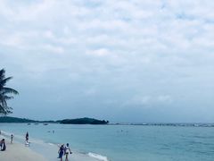 -查汶海滩