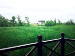 iphone_upload_pic-梁鸿国家湿地公园