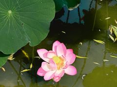 -南翠屏公园