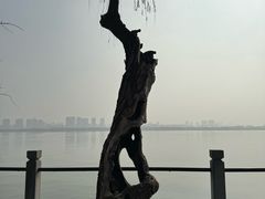 -无锡蠡湖国家湿地公园-蠡园