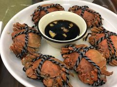 -宾湖农庄·农场特色(太湖龙之梦店)