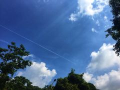 -火炉山森林公园