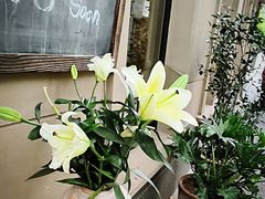 -夏朵花园(复兴西路店)