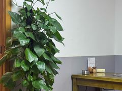 -菌极鲜野生菌火锅店(阳明祠店)