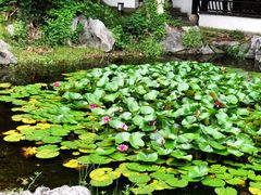 -日出青木·杭帮菜名店