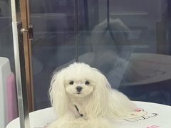 -FAELING PETS美天灵宠物(富力广场店)
