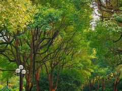 -西郊宾馆·1921餐厅