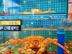 -鲜鲜·鲅鱼圈海鲜(于洪店)
