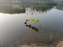 -东郊湿地公园