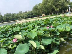 -长春世界雕塑园冰雪艺术天地