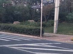 -苏州乐园森林水世界