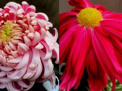 -共青国家森林公园-售票处