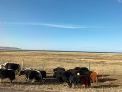 -青海湖国家重点风景名胜区