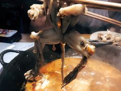 -老天桥蛙炉火锅(姑苏总店)