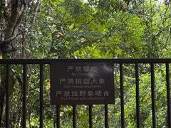 -野象谷景区