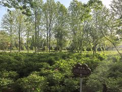 -洛阳市隋唐城遗址植物园