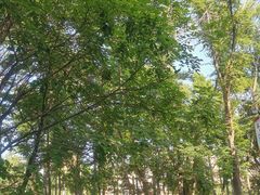 -长春市南湖公园