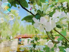 -海棠花溪(元大都城垣遗址公园)