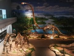 -自贡恐龙博物馆