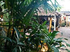 -Jungle Kitchen