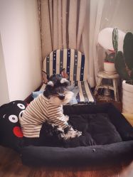 -雪儿·YuKi美甲美睫皮肤管理Salon
