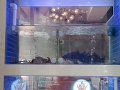 -杨家崴子碳缸烧烤(东三马路店)