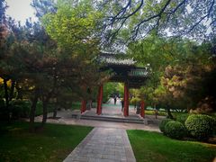 -迎泽公园
