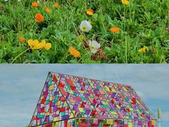 -紫颐香薰山谷景区