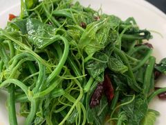 -云里小坐·小院里·团建·宴请·下午茶(三圣乡店)