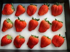 -海吉星国际农产品物流管理有限公司