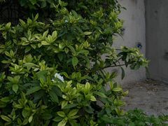-春庄咖啡SpringHues(钟楼小区店)